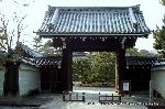 京都御苑　春一番を歩く