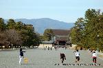 京都御苑　春一番を歩く