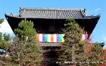 黒谷の梅から東北院軒端梅を歩く : くろ谷さんの山門(楼門)