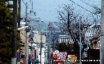 黒谷の梅から東北院軒端梅を歩く : 春日上通りを東へと真っ直ぐに坂を歩けばくろ谷さんである
