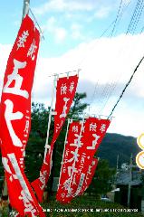 黒谷の梅から東北院軒端梅を歩く