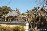 黒谷の梅から東北院軒端梅を歩く