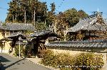 黒谷の梅から東北院軒端梅を歩く : 創建時の法成寺東北院は承安元年（1171）に焼失