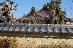 黒谷の梅から東北院軒端梅を歩く : 塀外から本堂を窺う