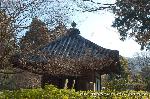 黒谷の梅から東北院軒端梅を歩く : このお堂の志うん石(紫雲石)が鎮座する