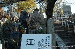 黒谷の梅から東北院軒端梅を歩く : 処構わずの無粋な立て看板であったが