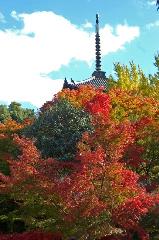 近場で紅葉狩