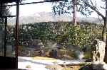 昼の涅槃図　夜のライトアップ : 枯山水庭園「涅槃の庭」　借景に比叡山、東山如意ケ嶽。