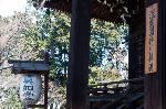 昼の涅槃図　夜のライトアップ