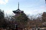 昼の涅槃図　夜のライトアップ