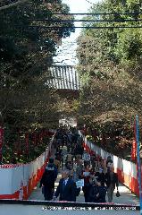 醍醐寺　枝垂桜を歩く　伽藍編