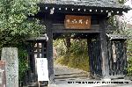 梅と松の北野さんと御霊信仰