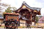 嵯峨野界隈　桜紀行 : 牛車に勅使門