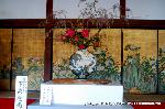 嵯峨野界隈　桜紀行 : 嵯峨御流お家元のいけばな