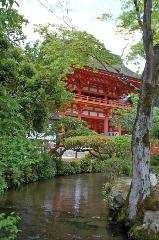 松尾の葵祭 : 本殿楼門