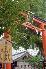 松尾の葵祭 : 西七条御旅所