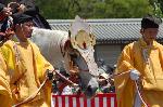 葵祭 　雅と勇壮 : 勅使列第3列　近衛使であることが、この馬で明らかに分かる。
