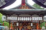 御霊祭 : 本殿より出御前の神輿を見る