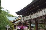 御霊祭 : 拝殿・本殿