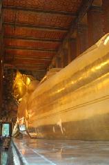 京の沙羅双樹を愛でる : 寝釈迦仏