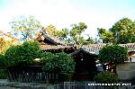 宮本組・祇園祭吉符入りと神宝奉持籤取