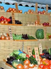 お精霊さんと京野菜