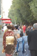 京の秋祭 / ずいき祭