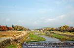 色づく大路小路 : 鴨川の左右に紅葉が　右奥が植物園