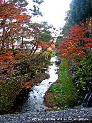 紅葉紀行　鷹峯を訪ねて１