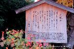 紅葉紀行　鷹峯を訪ねて１