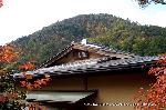近場で紅葉狩