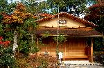 秋の物見遊山 / 紅葉見・観楓