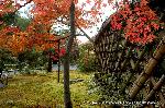 紅葉紀行　鷹峯を訪ねて１