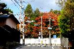 紅葉紀行　鷹峯を訪ねて１ : 正面源光庵・左光悦寺・右常照寺