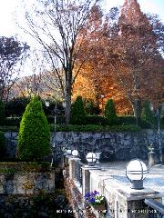 紅葉紀行　鷹峯を訪ねて１
