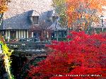 紅葉紀行　鷹峯を訪ねて１