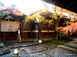 最後の紅葉あれこれ : 京料理千寿閣