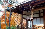 最後の紅葉あれこれ