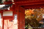 京都の秋