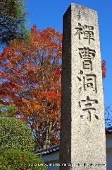洛中黄葉街道
