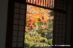 京都の秋