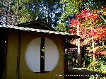 洛外紅葉街道　ドライブ計画