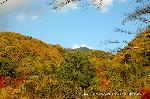 紅葉紀行　修学院から一乗寺散策 : 修学院から北山を望む