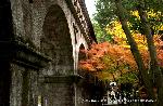 京都の秋 : 南禅寺水路閣