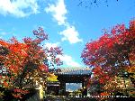 紅葉紀行　修学院から一乗寺散策