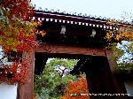 木食正禅上人と洛陽六阿弥陀めぐり : 山門