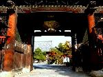 木食正禅上人と洛陽六阿弥陀めぐり : 国宝釈迦如来・日本三如来の阿弥陀仏を有する