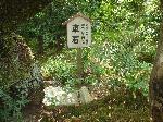 木食正禅上人と洛陽六阿弥陀めぐり : 山科・日ノ岡峠の車石