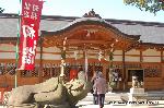 どんど焼き