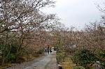 後白河法皇と法住寺殿に法住寺陵